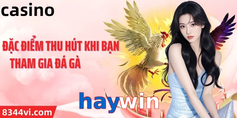 haywin